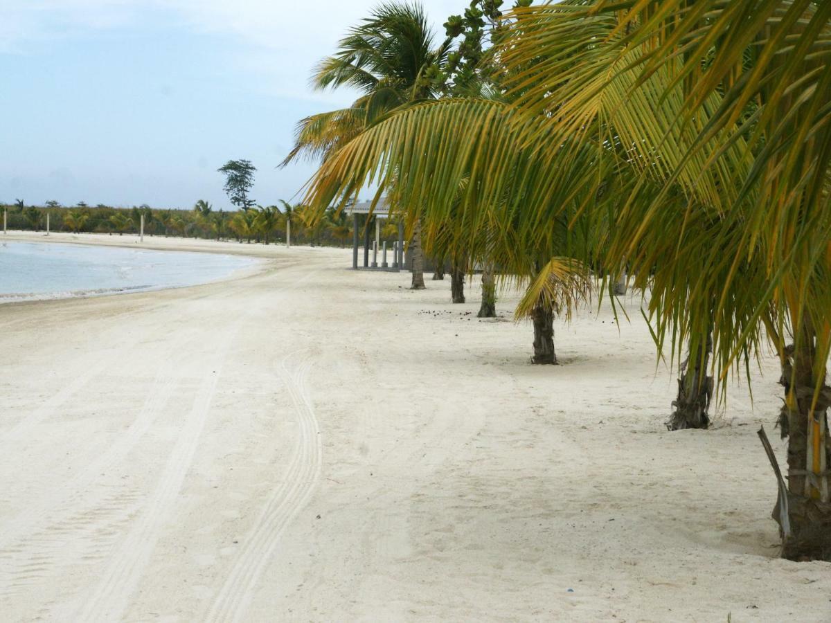 Jamnick Vacation Rentals - Richmond, St Ann, Jamaica オーチョ・リオス エクステリア 写真